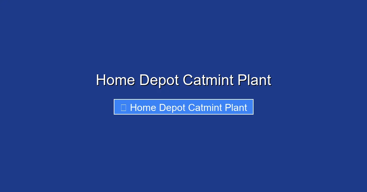 Home Depot Catmint Plant