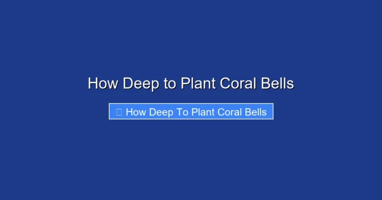 How Deep to Plant Coral Bells