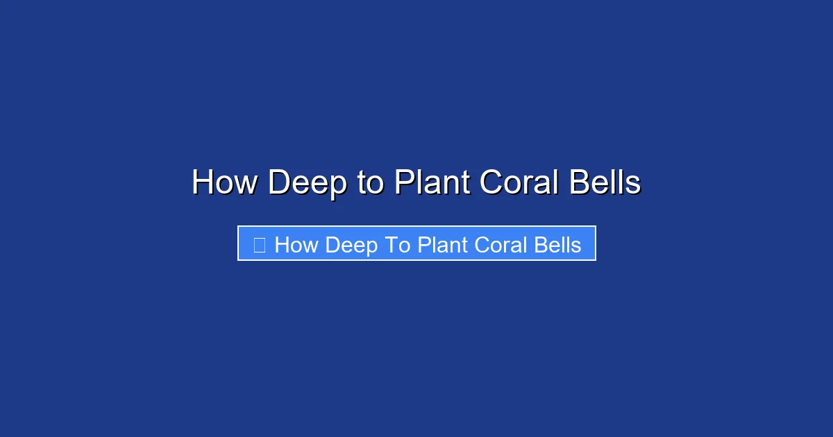 How Deep to Plant Coral Bells