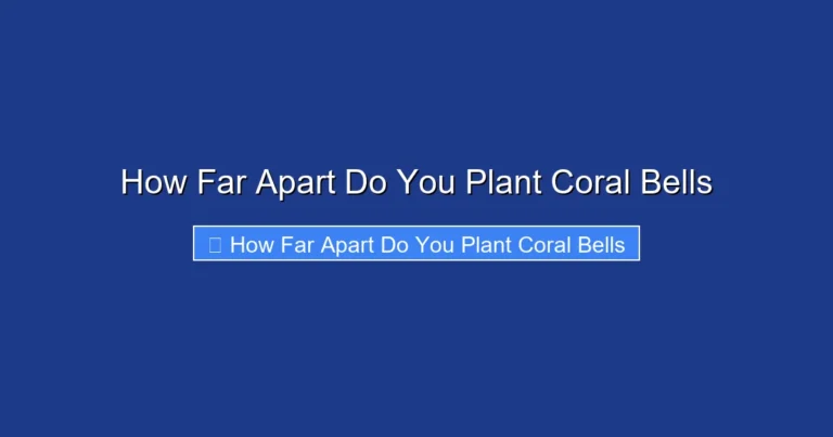 How Far Apart Do You Plant Coral Bells