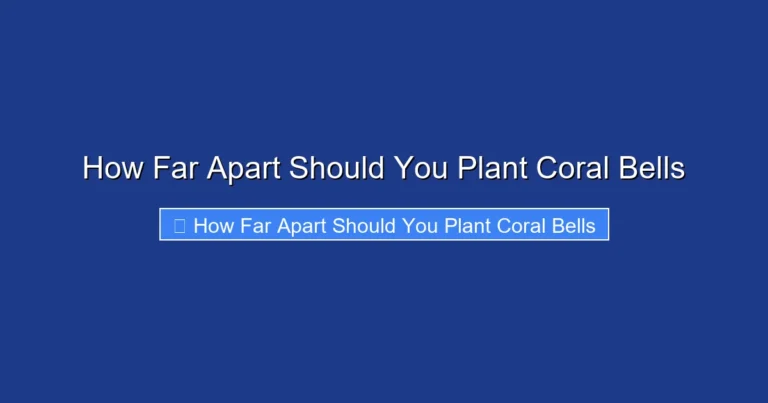 How Far Apart Should You Plant Coral Bells