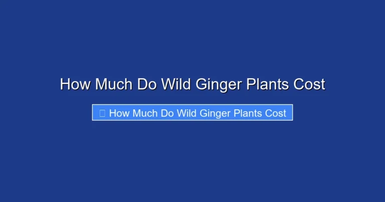 How Much Do Wild Ginger Plants Cost