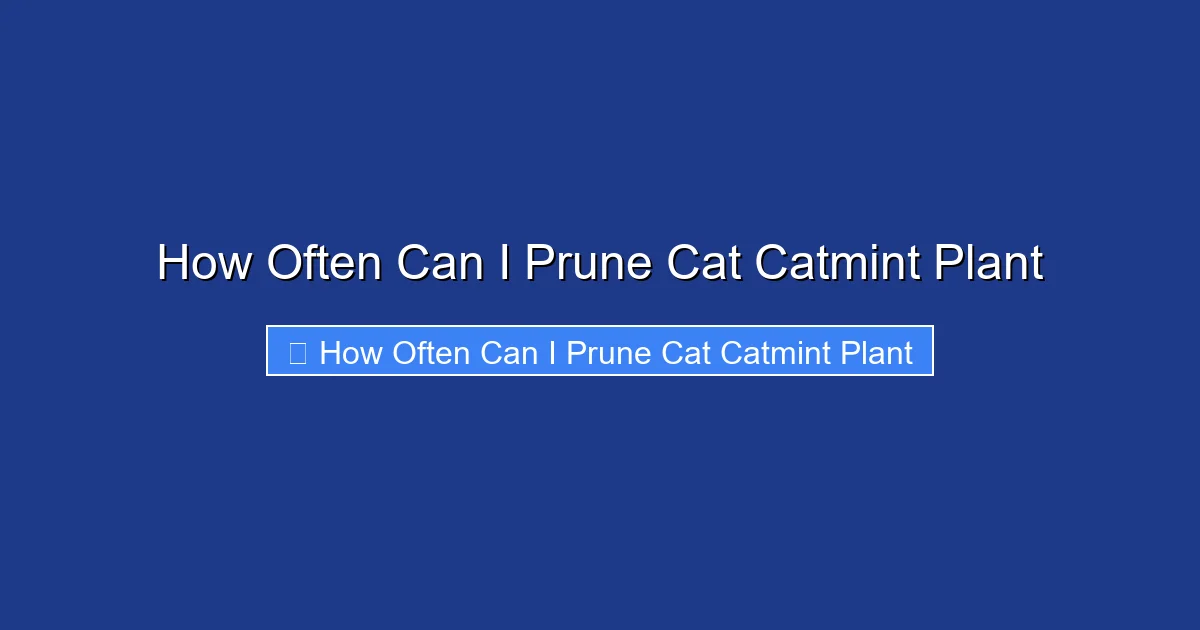 How Often Can I Prune Cat Catmint Plant