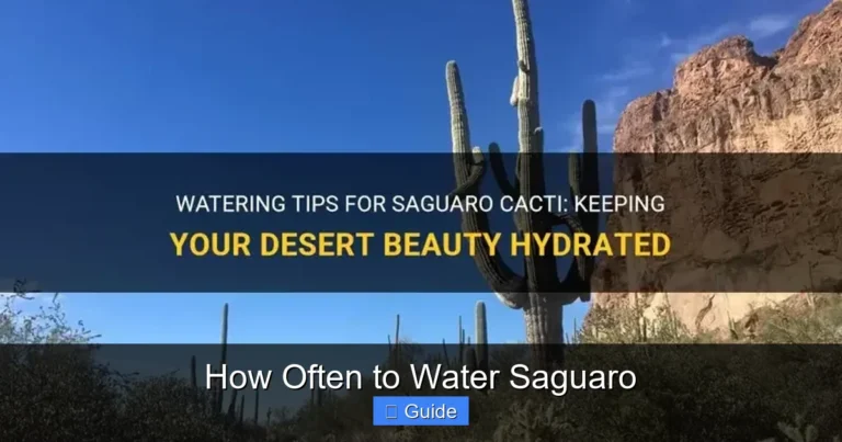 How Often to Water Saguaro