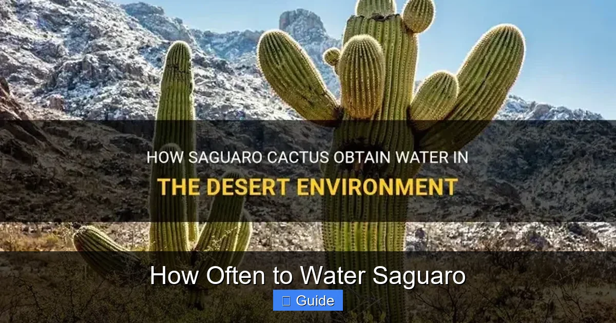 How Often to Water Saguaro