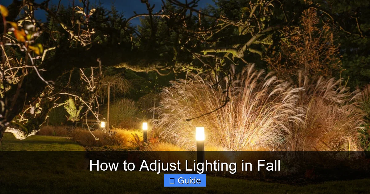 How to Adjust Lighting in Fall