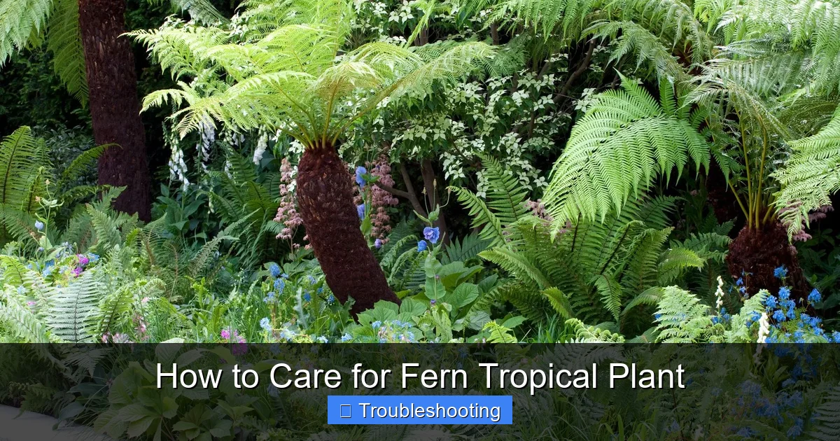 How to Care for Fern Tropical Plant