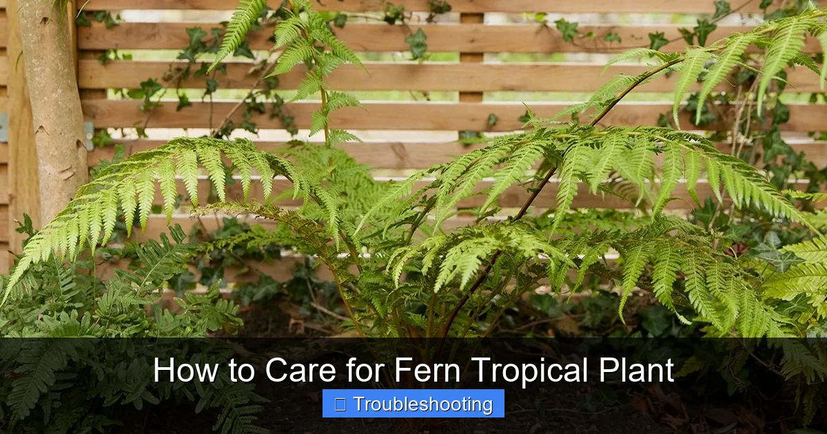 How to Care for Fern Tropical Plant