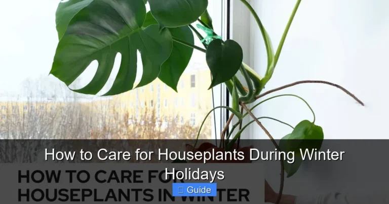 How to Care for Houseplants During Winter Holidays
