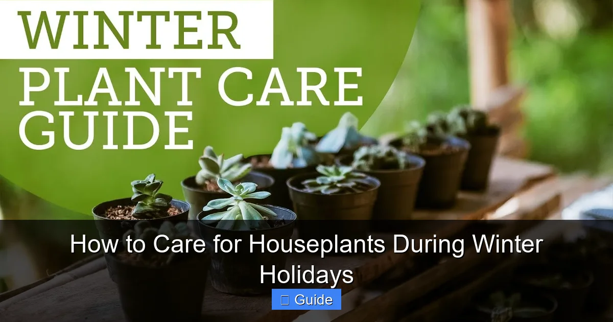 How to Care for Houseplants During Winter Holidays