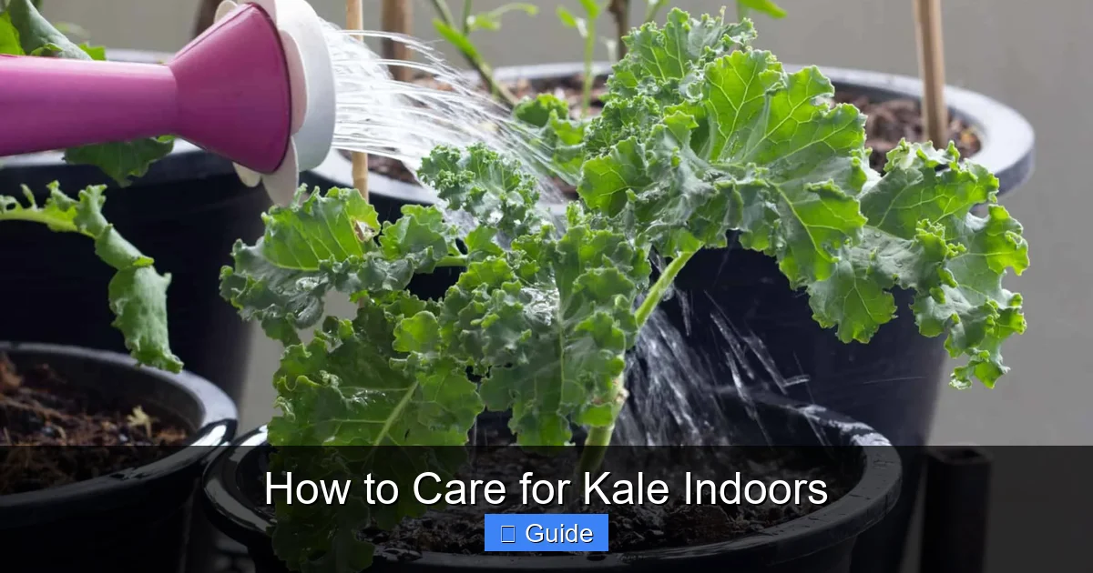 How to Care for Kale Indoors