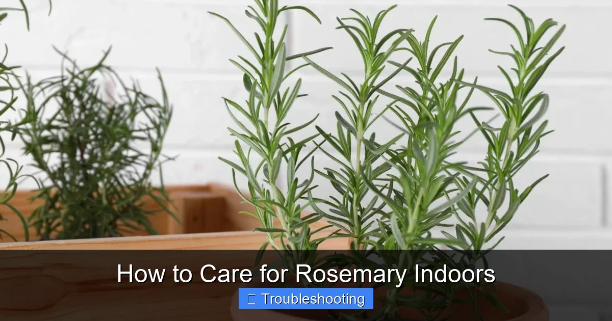 How to Care for Rosemary Indoors