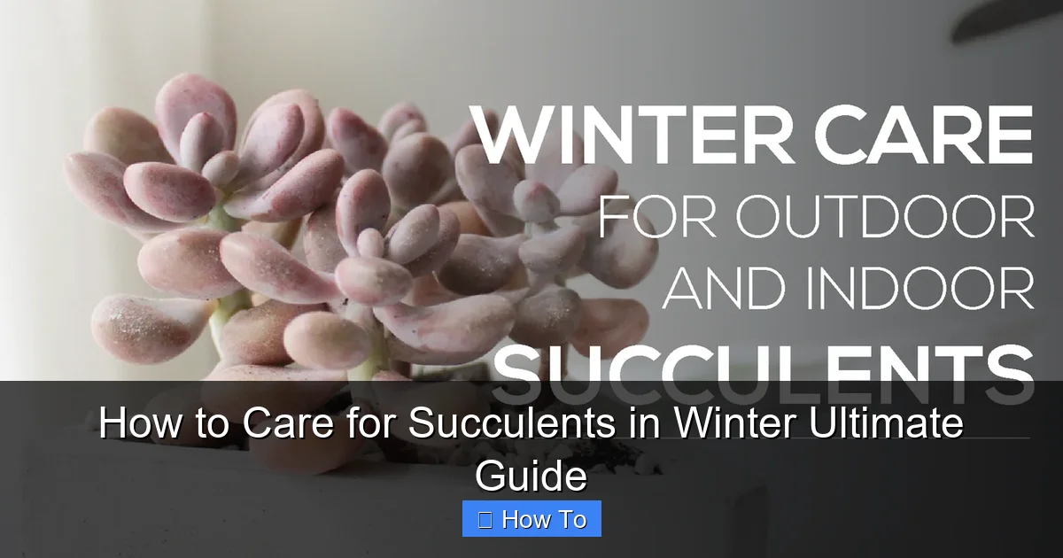 How to Care for Succulents in Winter Ultimate Guide