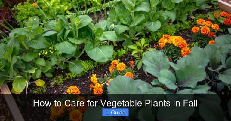 How to Care for Vegetable Plants in Fall