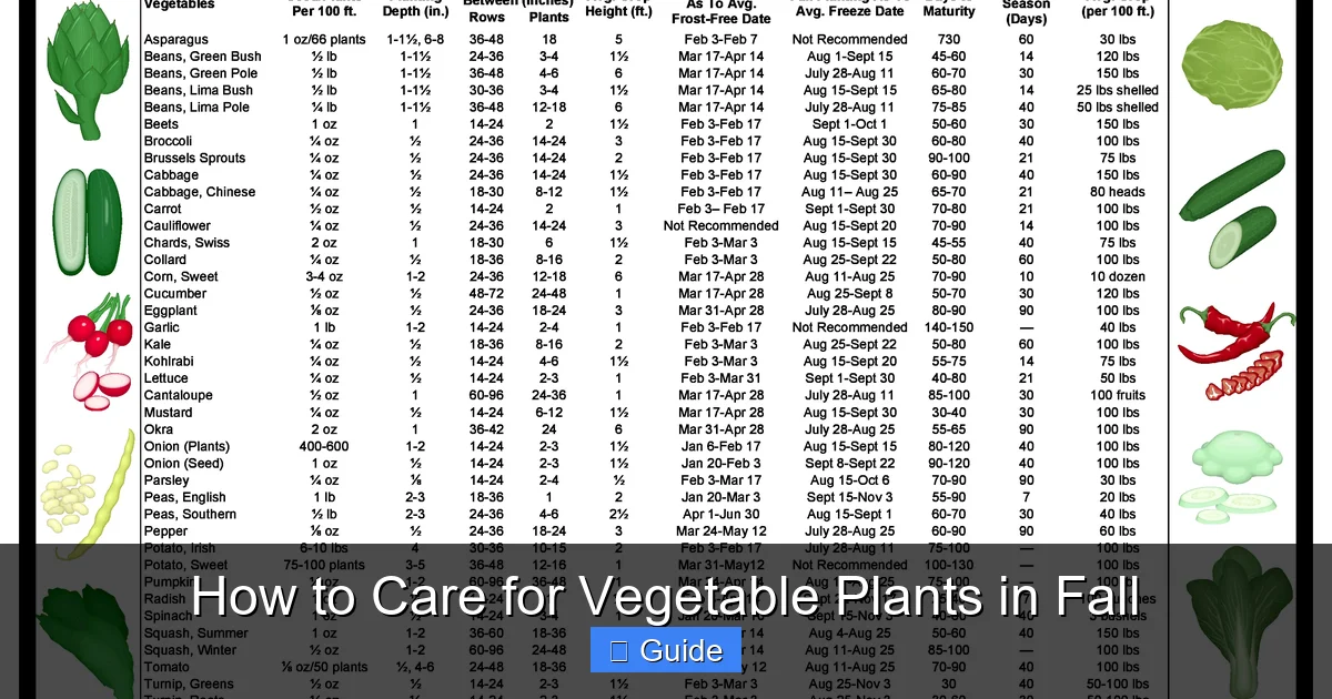 How to Care for Vegetable Plants in Fall
