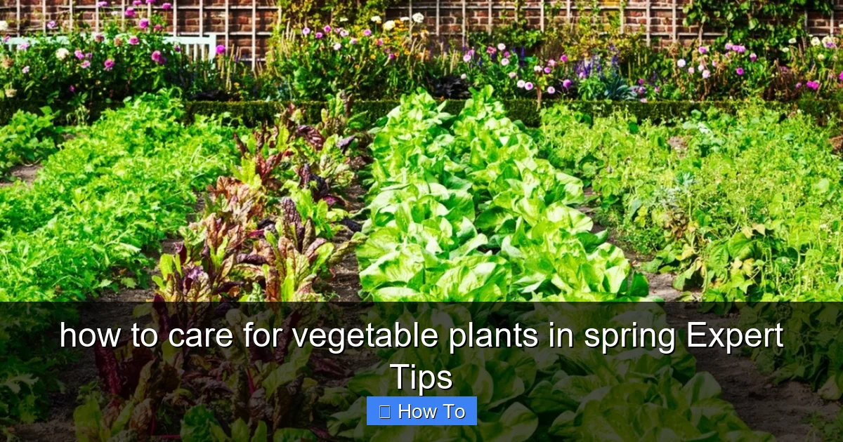 how to care for vegetable plants in spring Expert Tips