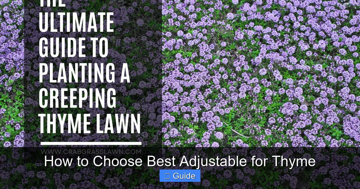 How to Choose Best Adjustable for Thyme