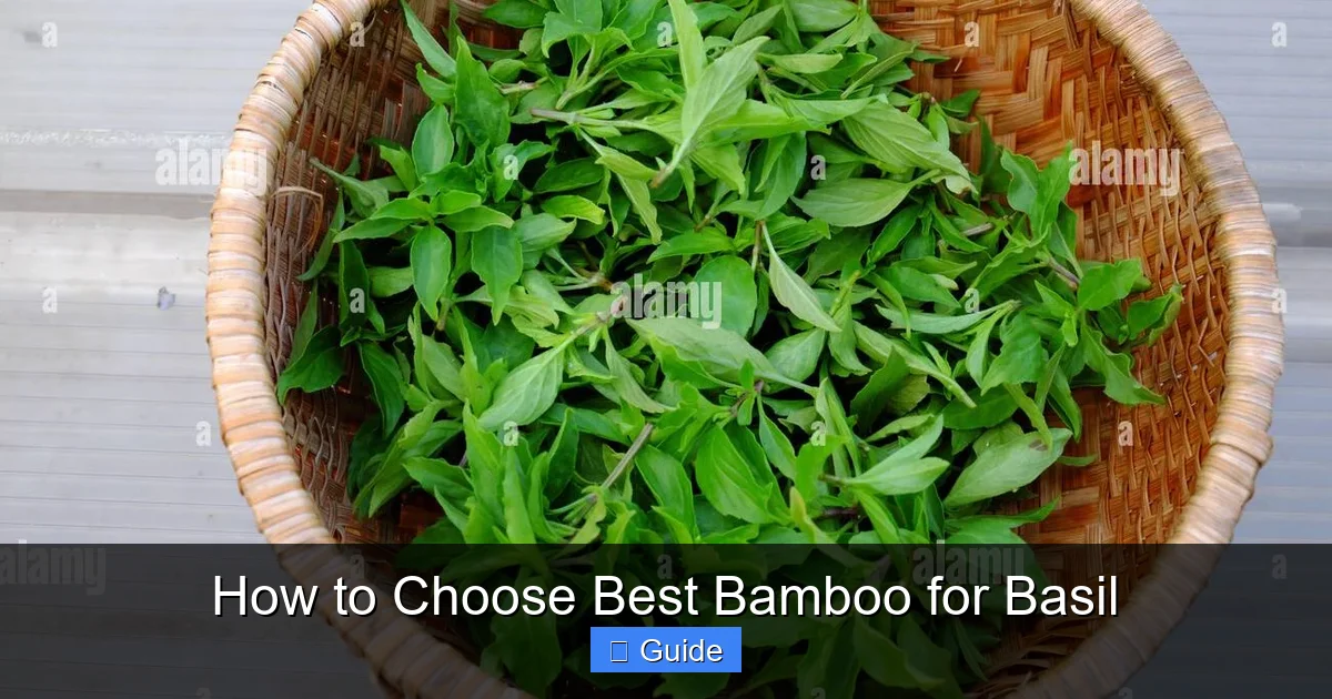 How to Choose Best Bamboo for Basil