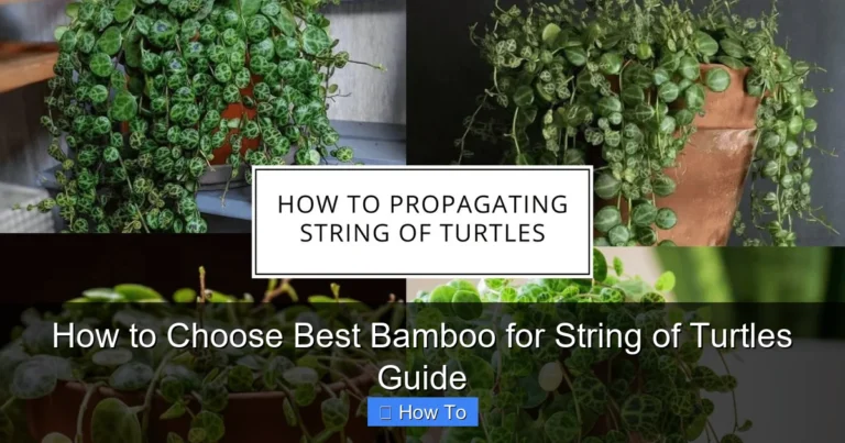 How to Choose Best Bamboo for String of Turtles Guide