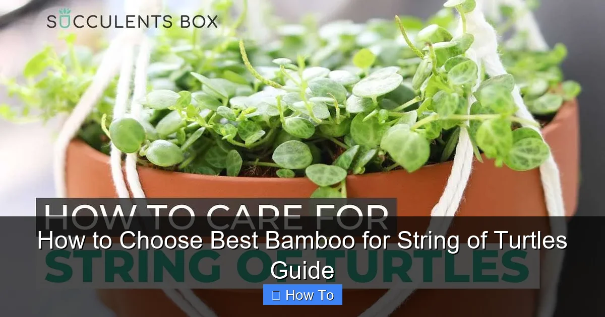 How to Choose Best Bamboo for String of Turtles Guide