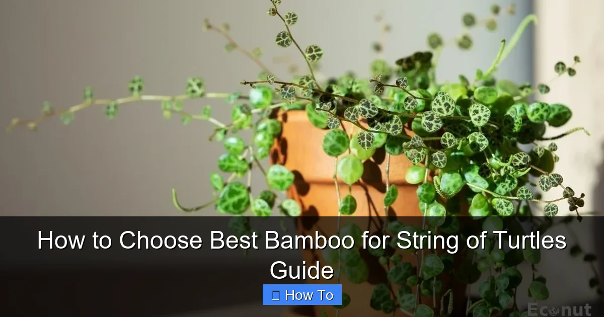 How to Choose Best Bamboo for String of Turtles Guide