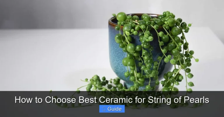 How to Choose Best Ceramic for String of Pearls
