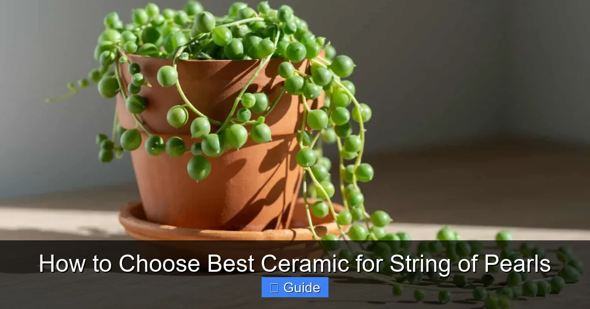 How to Choose Best Ceramic for String of Pearls