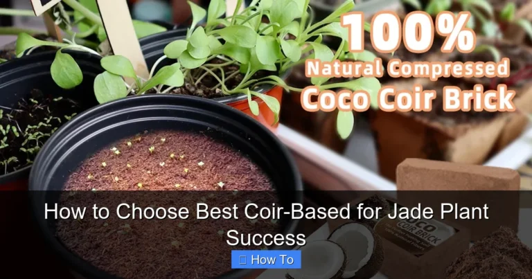 How to Choose Best Coir-Based for Jade Plant Success
