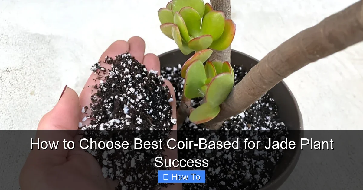 How to Choose Best Coir-Based for Jade Plant Success