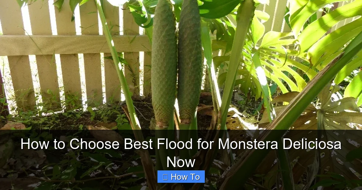 How to Choose Best Flood for Monstera Deliciosa Now