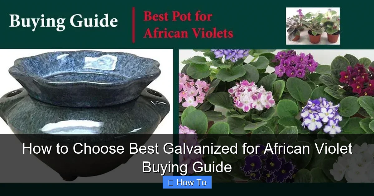 How to Choose Best Galvanized for African Violet Buying Guide