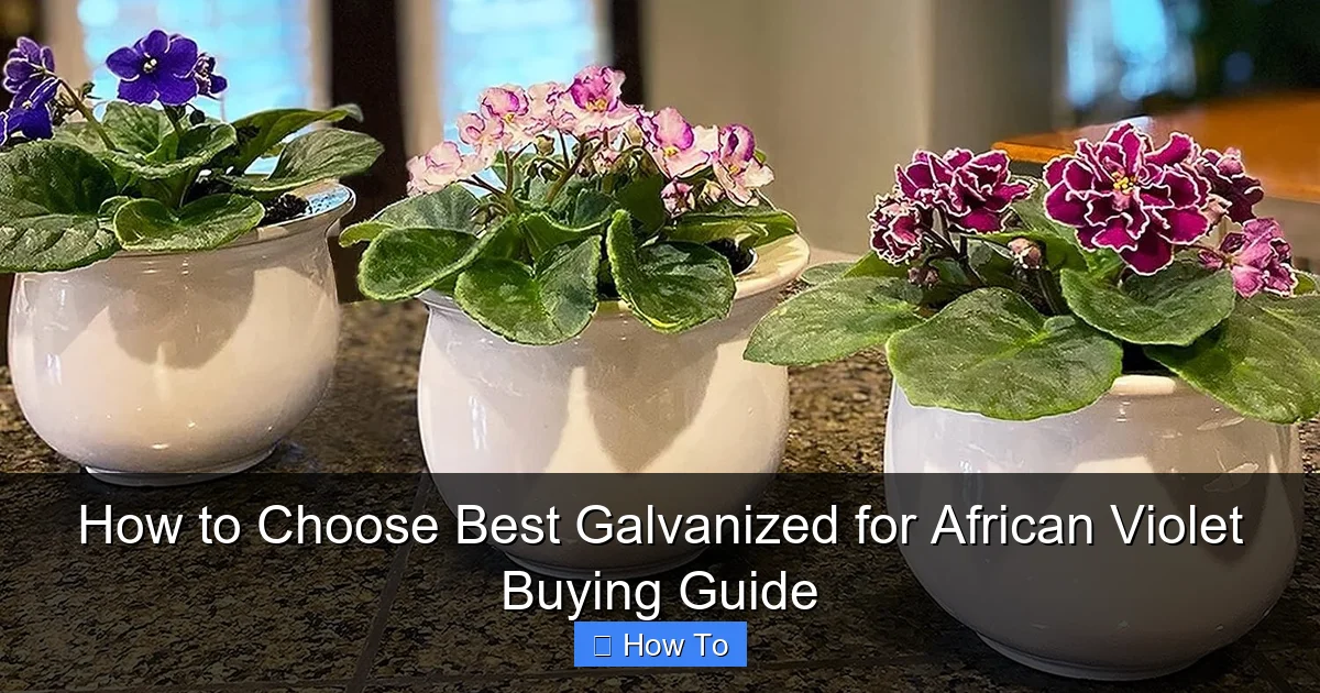 How to Choose Best Galvanized for African Violet Buying Guide