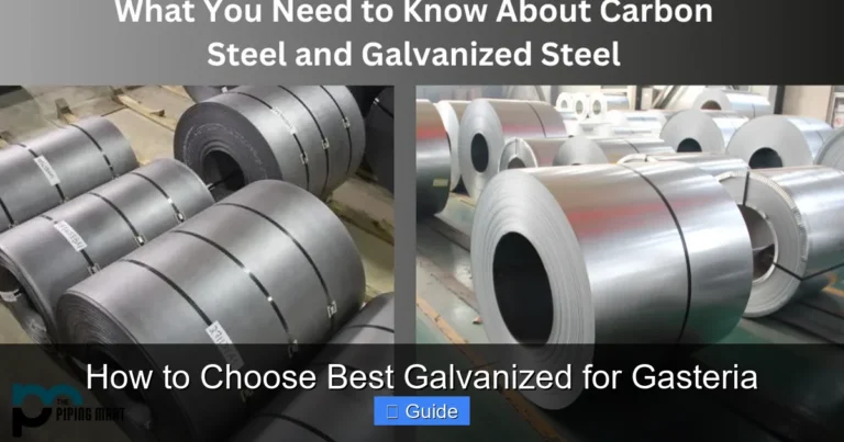 How to Choose Best Galvanized for Gasteria