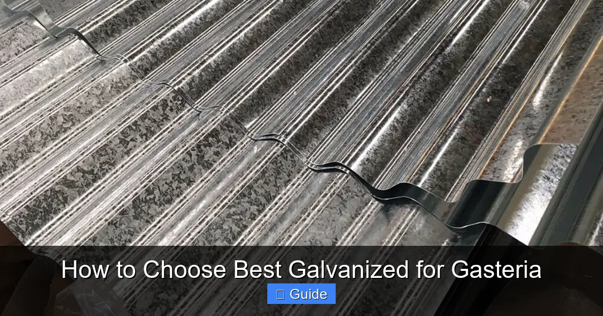 How to Choose Best Galvanized for Gasteria