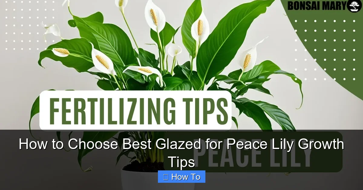 How to Choose Best Glazed for Peace Lily Growth Tips