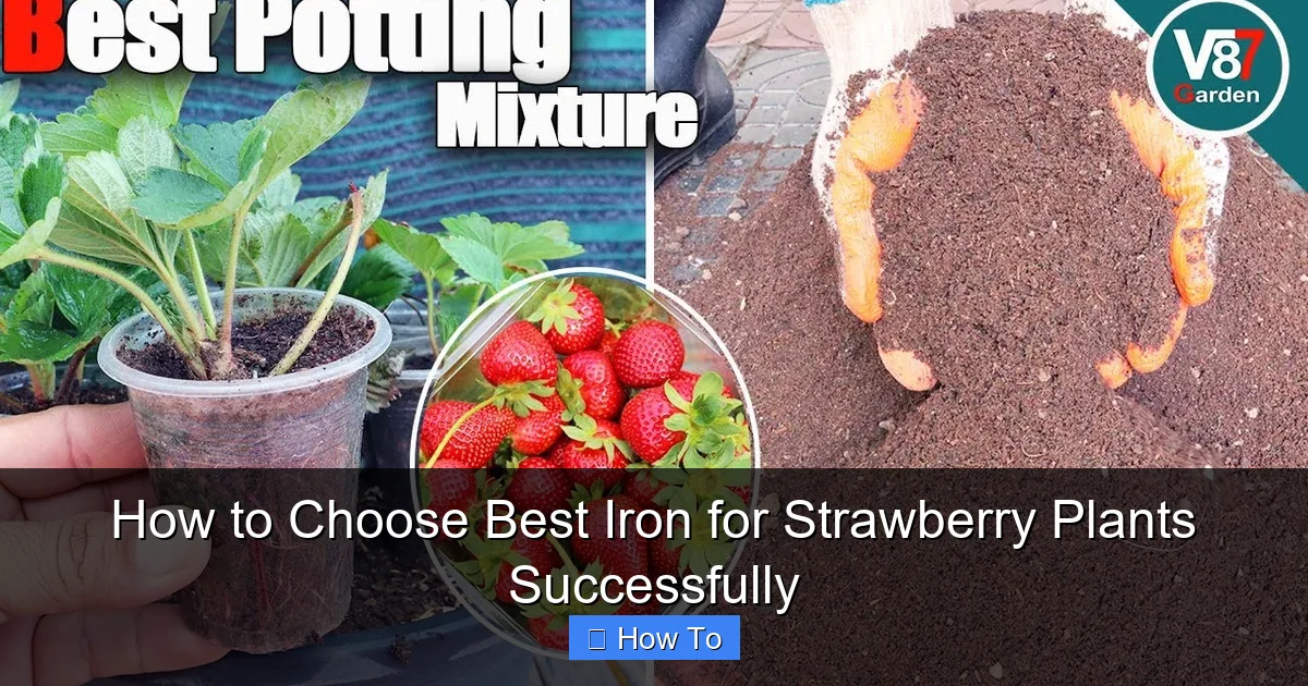 How to Choose Best Iron for Strawberry Plants Successfully