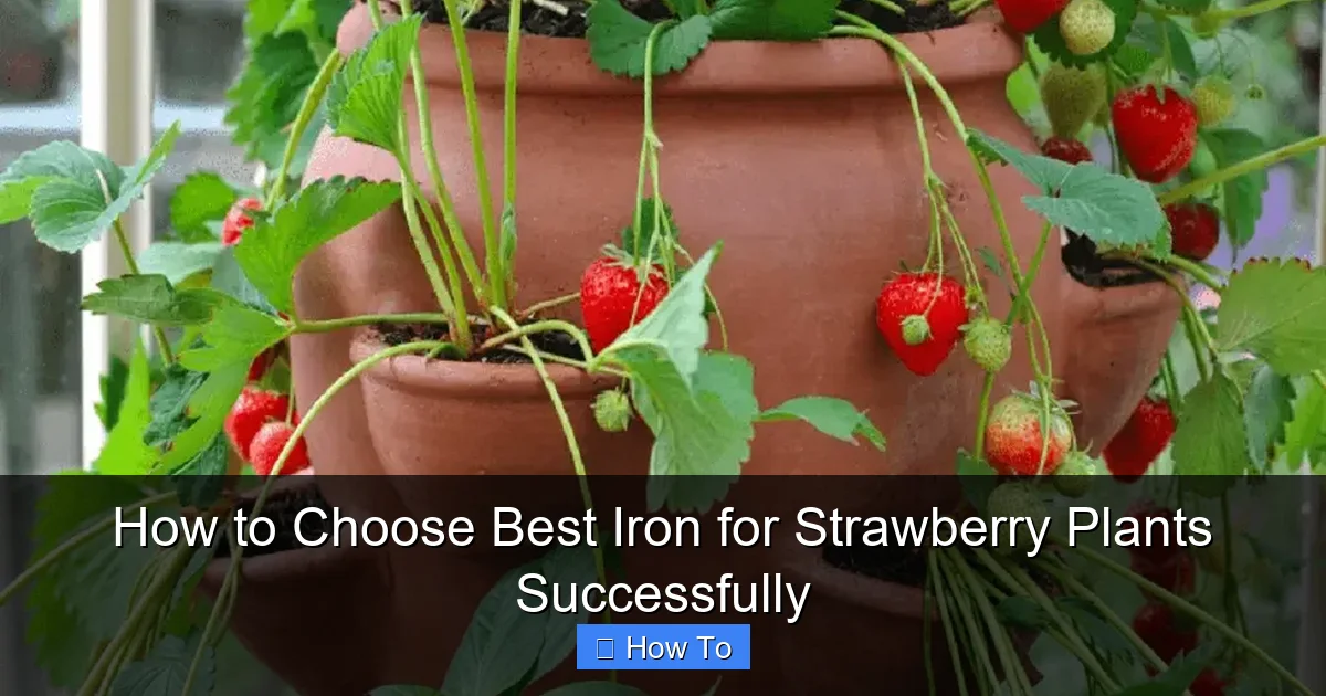 How to Choose Best Iron for Strawberry Plants Successfully