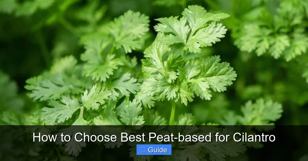 How to Choose Best Peat-based for Cilantro