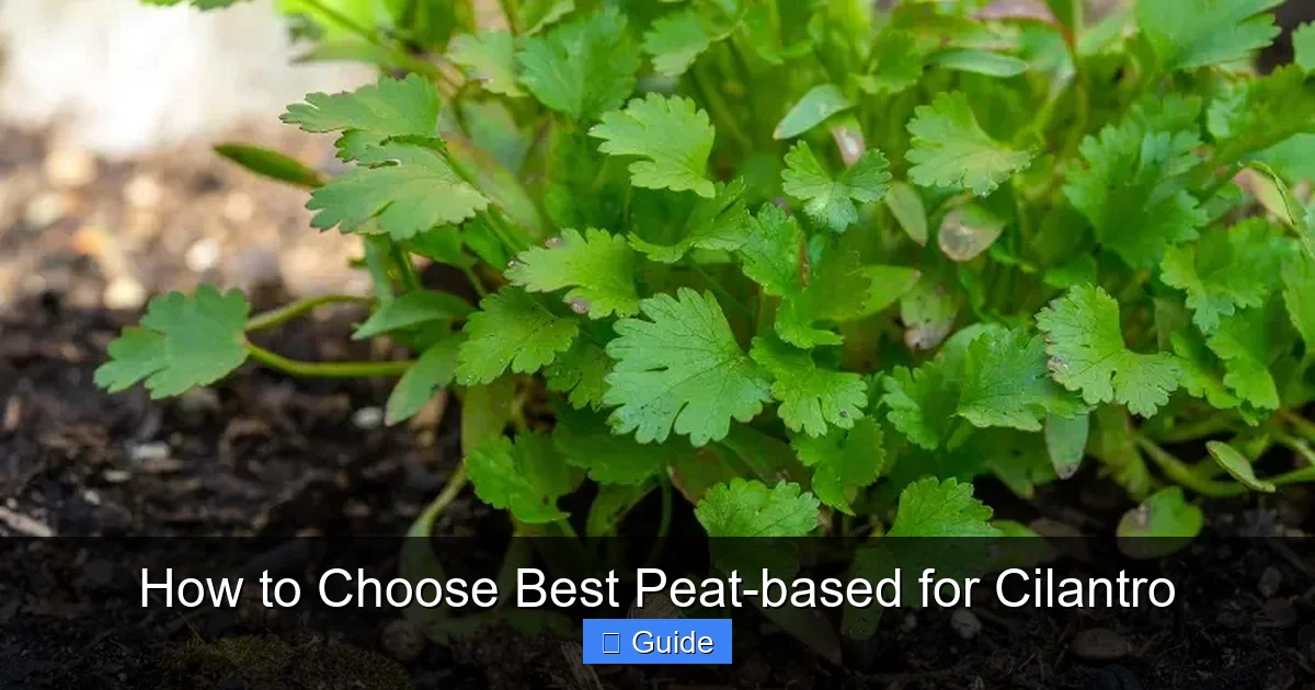 How to Choose Best Peat-based for Cilantro
