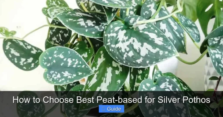 How to Choose Best Peat-based for Silver Pothos