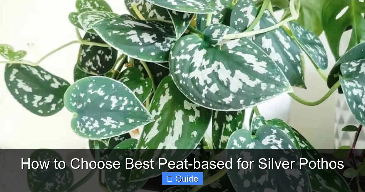 How to Choose Best Peat-based for Silver Pothos