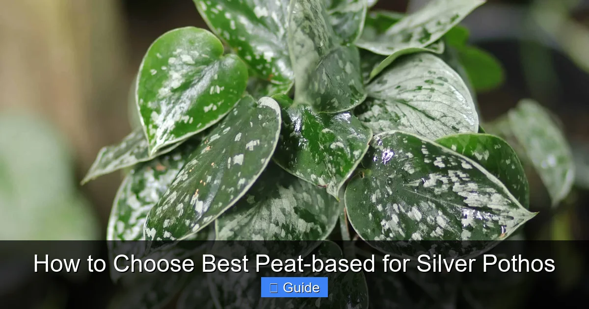 How to Choose Best Peat-based for Silver Pothos