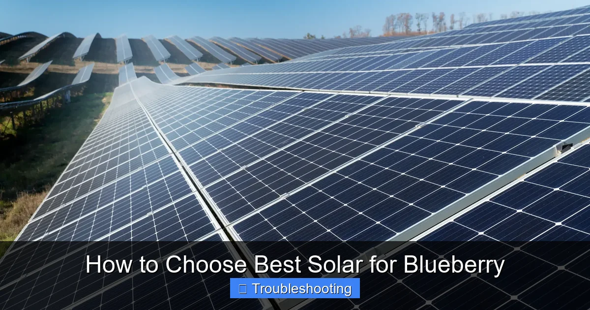 How to Choose Best Solar for Blueberry
