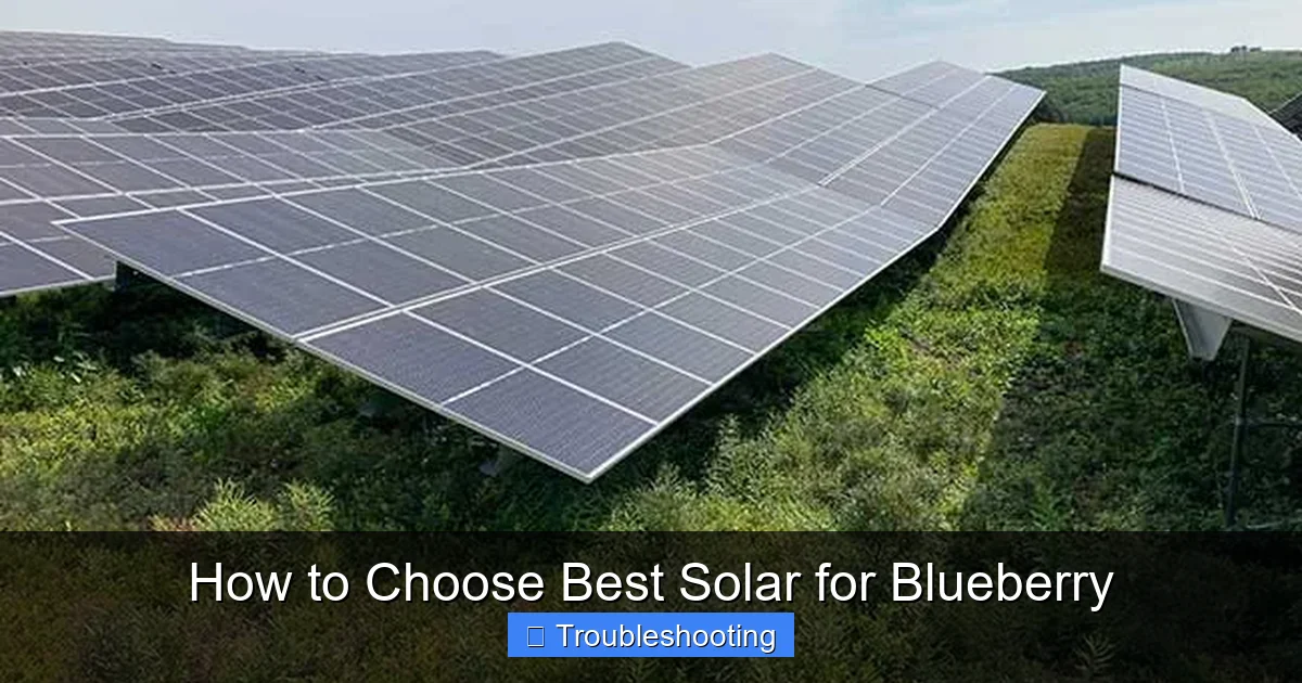 How to Choose Best Solar for Blueberry