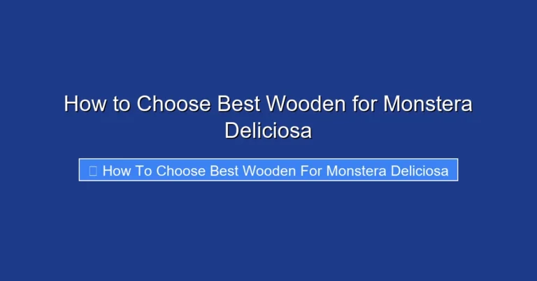 How to Choose Best Wooden for Monstera Deliciosa