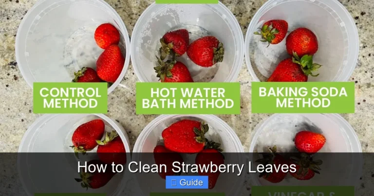 How to Clean Strawberry Leaves