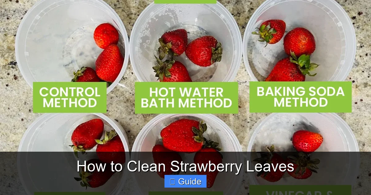 How to Clean Strawberry Leaves