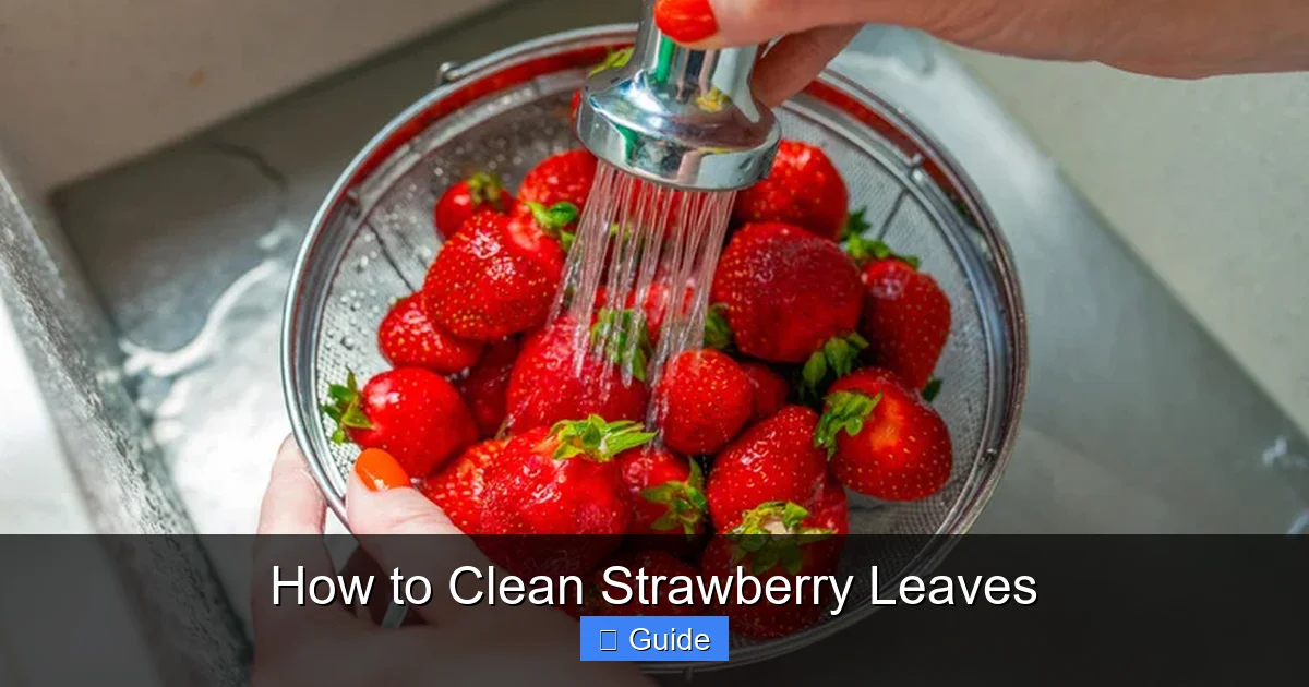 How to Clean Strawberry Leaves