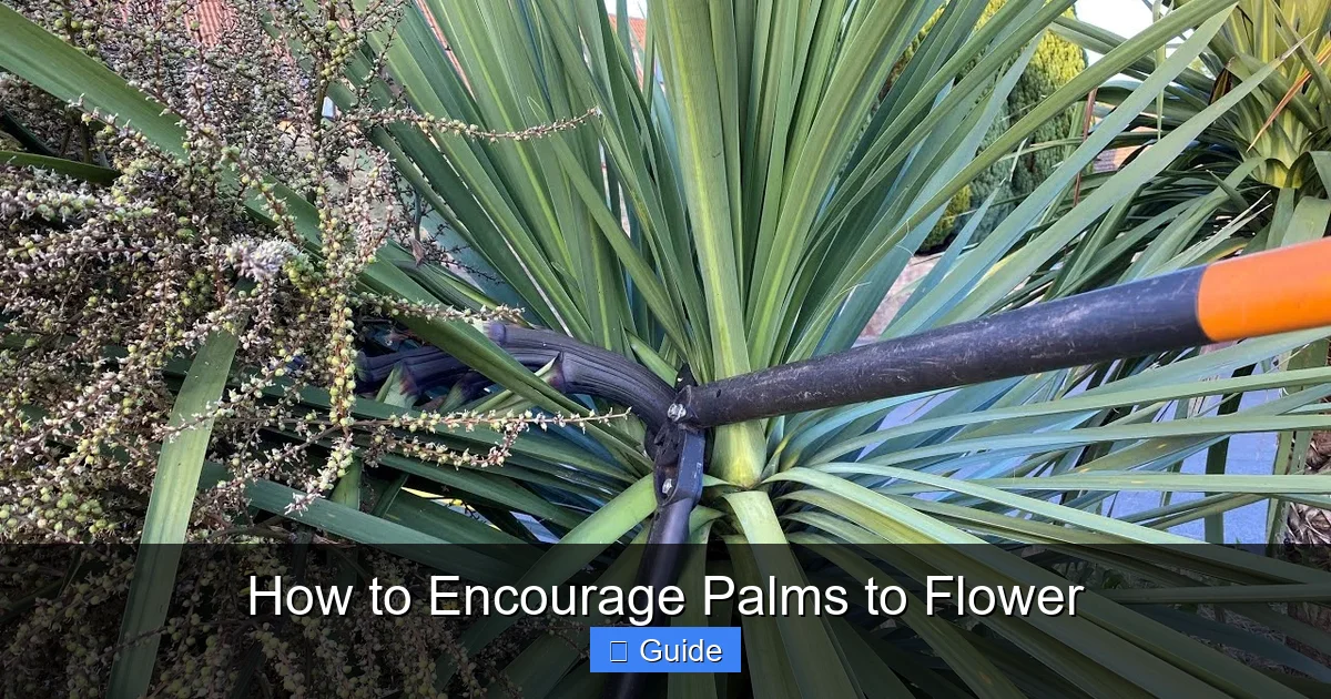 How to Encourage Palms to Flower
