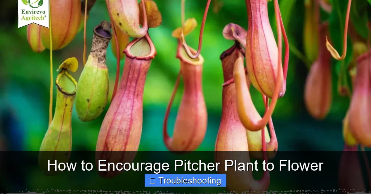 How to Encourage Pitcher Plant to Flower